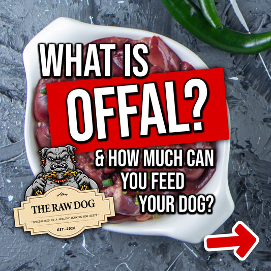 What organs (offal) should I feed my dog?