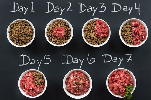 A Step-by-Step Guide: Transitioning Your Dog from Kibble to Raw Food