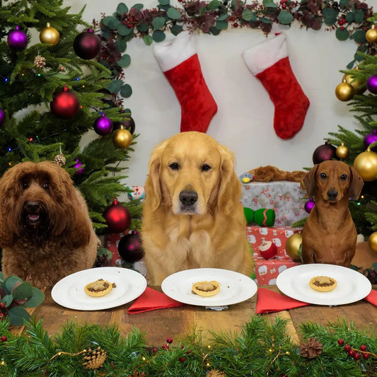 Feasting with Fido: Crafting a Christmas Dinner for Your Canine Companion