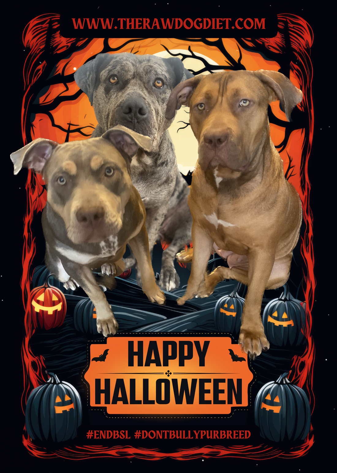 Howl-O-Ween: A Tail-Wagging Guide to Halloween for Dogs